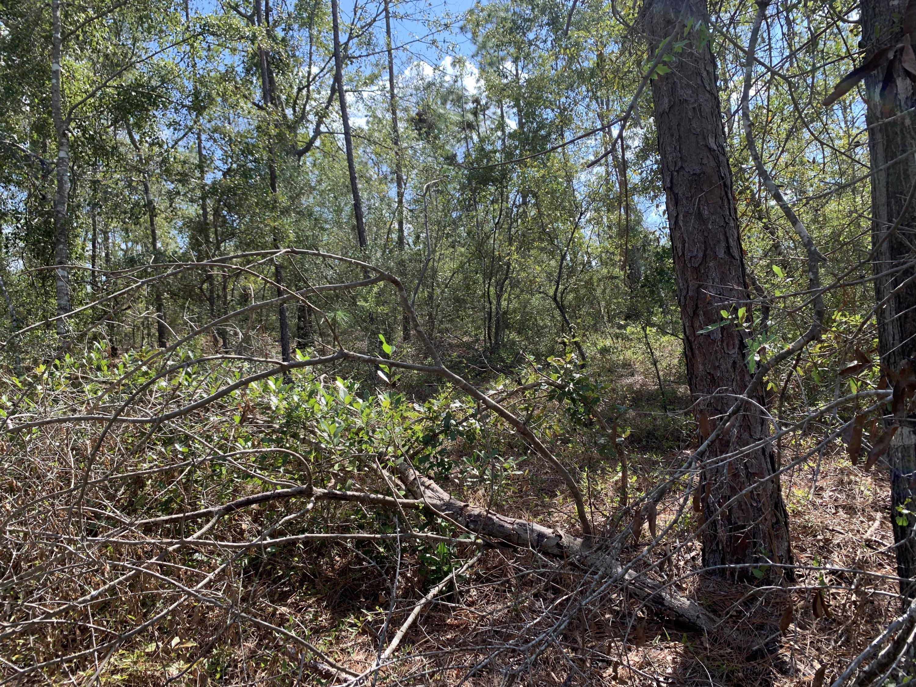 No Named Subdivision - Land