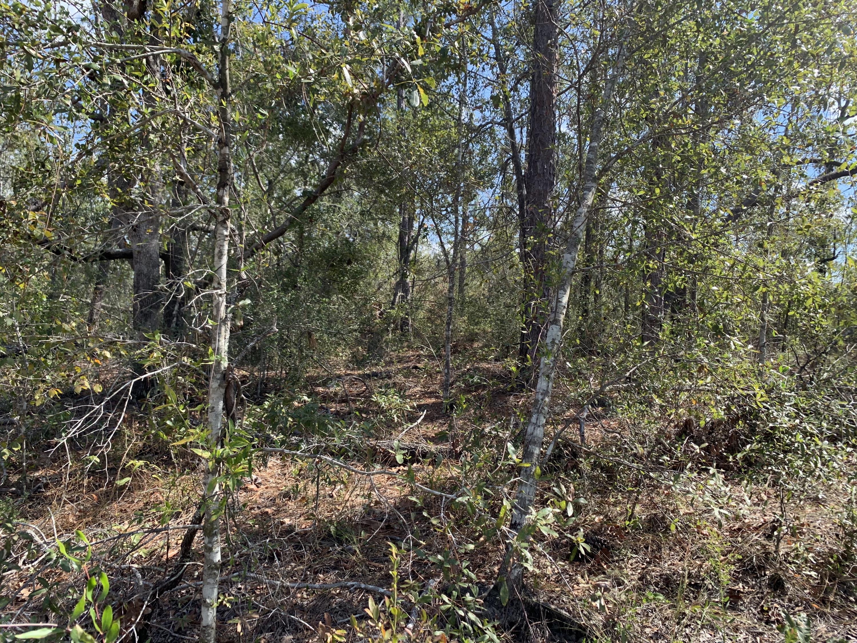 No Named Subdivision - Land