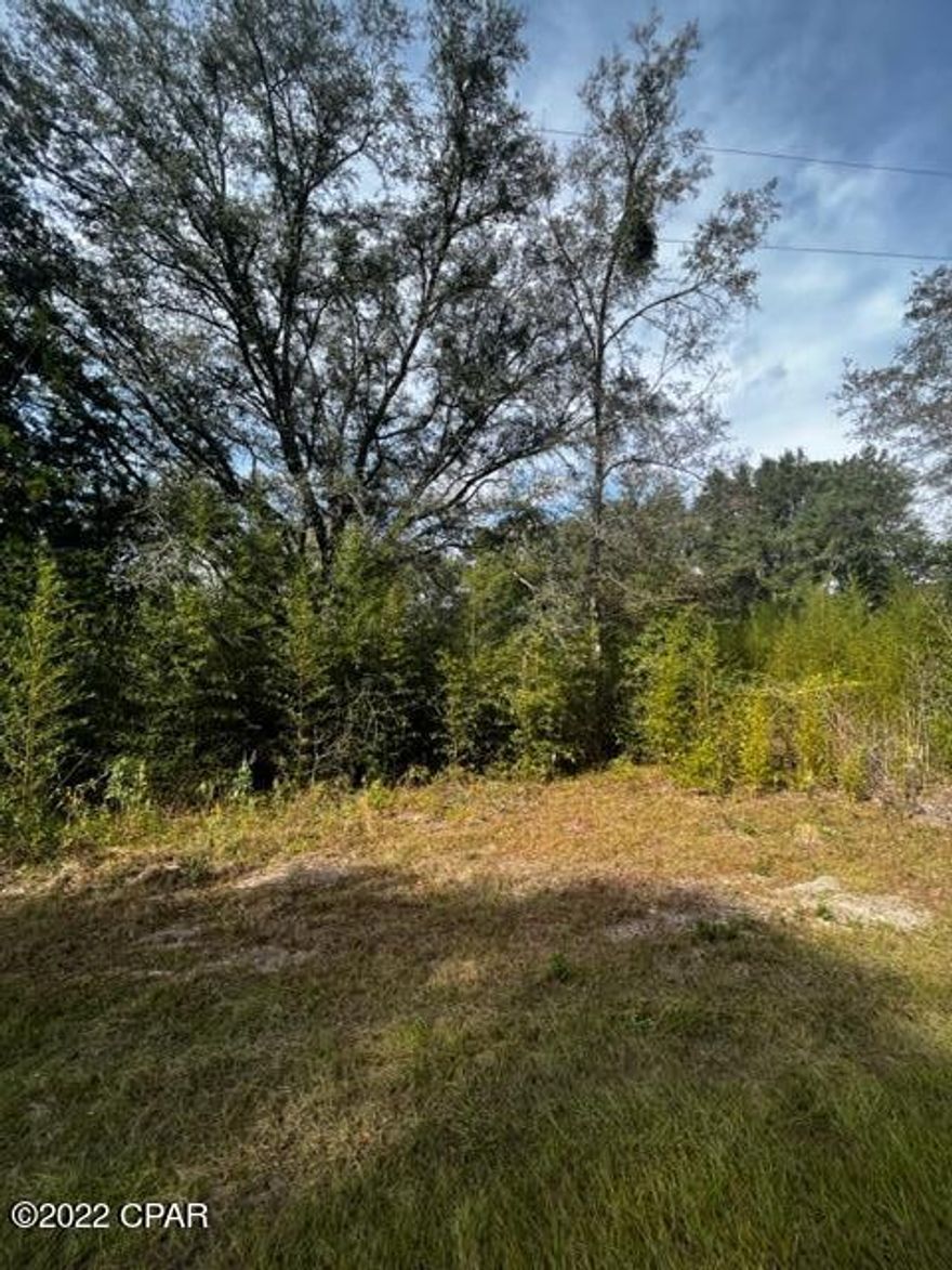 Nice wooded property in the country with paved road frontage!  This would be a great property for your next home and has already been surveyed.  Don't delay, contact your favorite realtor today.