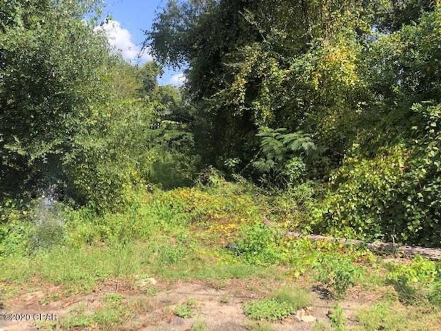 This is an old home place lot in town.  There is public water available.   The lot is wooded and in a very convenient location.   A great investment property and the location is ideal for a home to be put back on the lot.