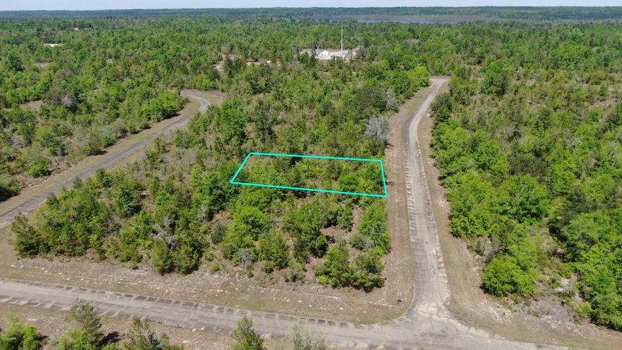 Good building lot in the Sunny Hills community. Sunny Hills is located 25 miles north of Panama City and 15 miles south of Chipley. This community offers an 18 hole golf course, many fine fishing and recreation lakes, and other recreational pursuits. Community has it own private water system.  All sizes approximate, please verify if important.