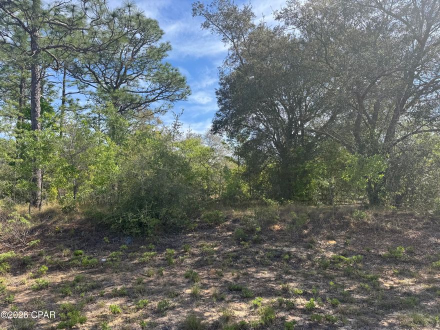Nice wooded building lot in  South Washington County .Only 45 minutes to the Worlds Most Beautiful Beaches and the Northwest Florida Beaches International Airport. Sunny Hills has a fantastic golf course and several lakes to enjoy fishing , swimming and boating.