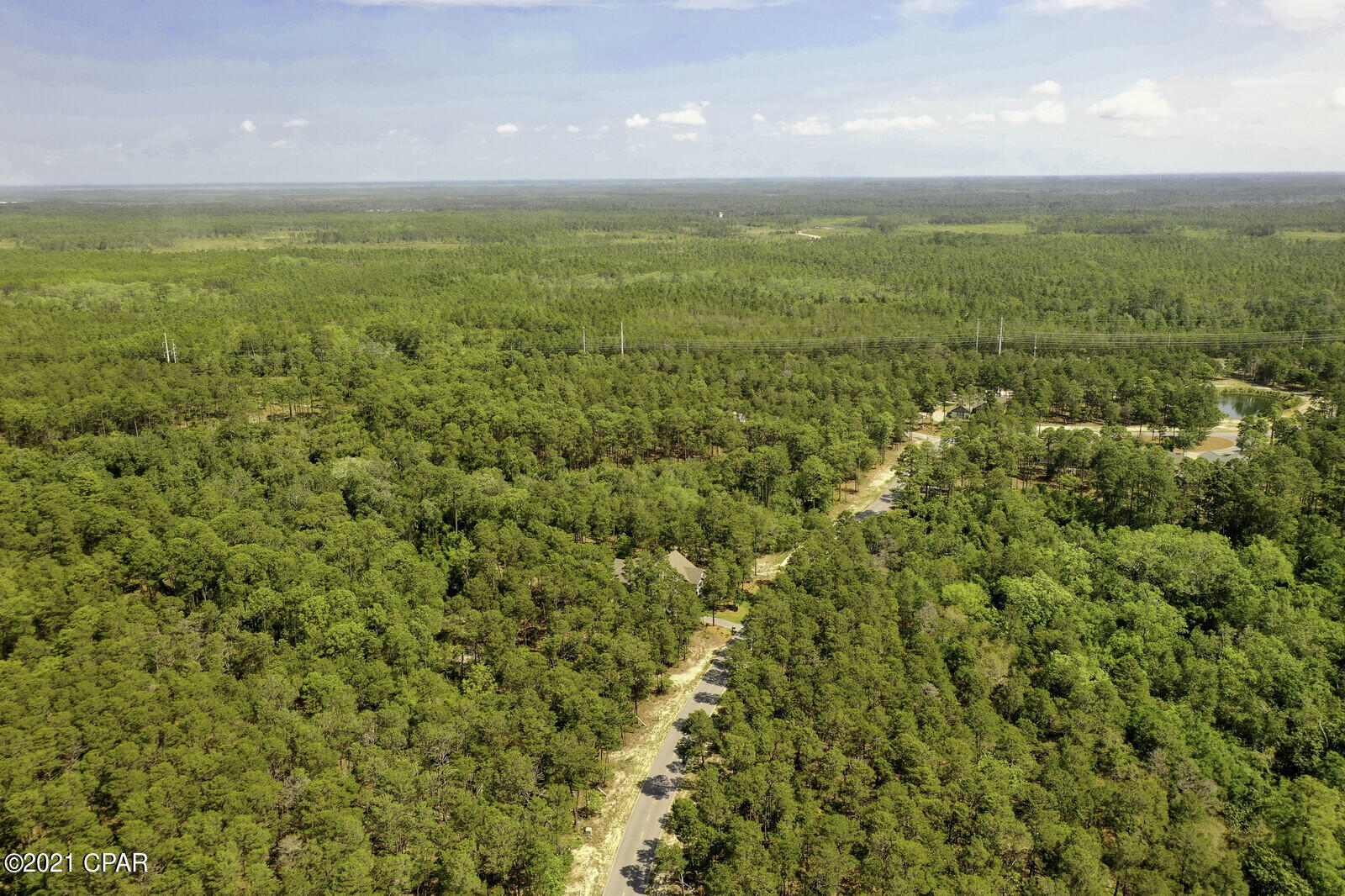 Wild Heron Phase XIII - Land