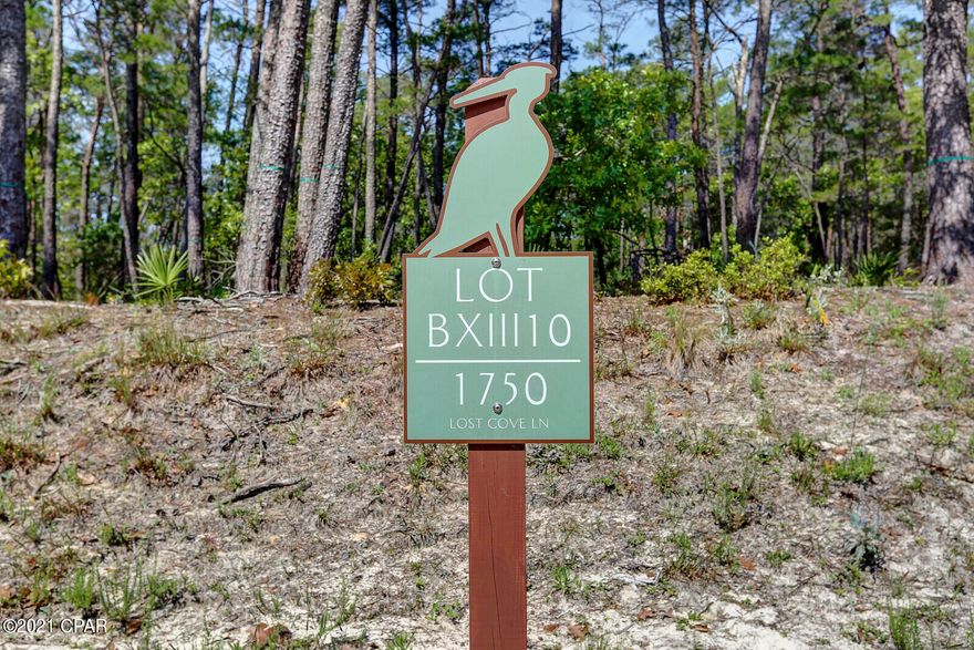 Beautiful large wooded residential Lot at the end of cul-de-sac in Exclusive Gated Wild Heron Community, alongside the Lake Powell, in Bay County, FL. Located only minutes from the ''World's Most Beautiful Beaches.'' Enjoy numerous amenities in Wild Heron, Golfing, state of the art fitness center, pool & hot tub, boathouse with canoes and kayaks, boardwalks along Lake Powell, sidewalks, and many nature trails to explore. Beautiful 18 hole Golf Course for membership, so make this your destination homeplace!