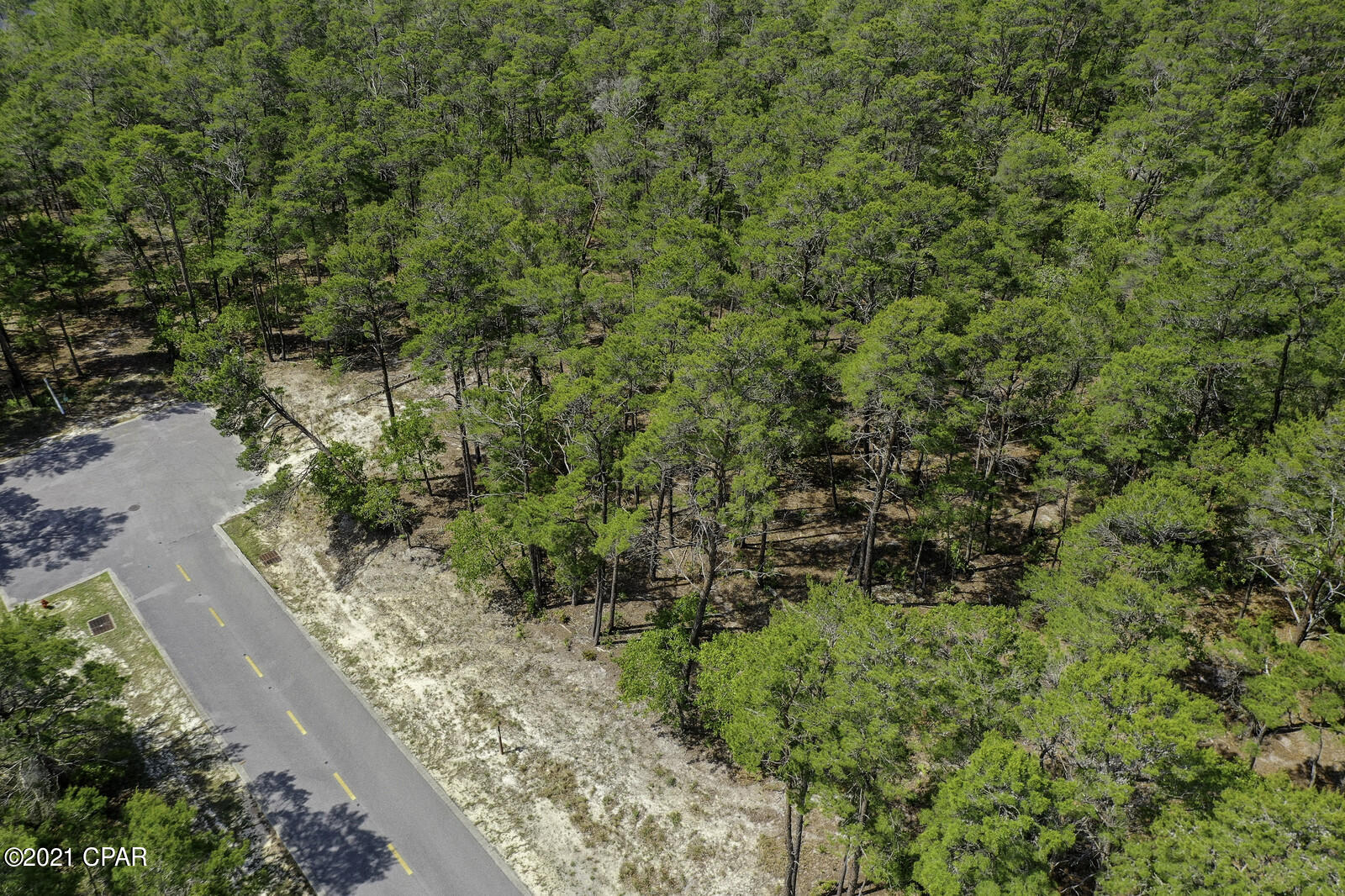 Wild Heron Phase XIII - Land