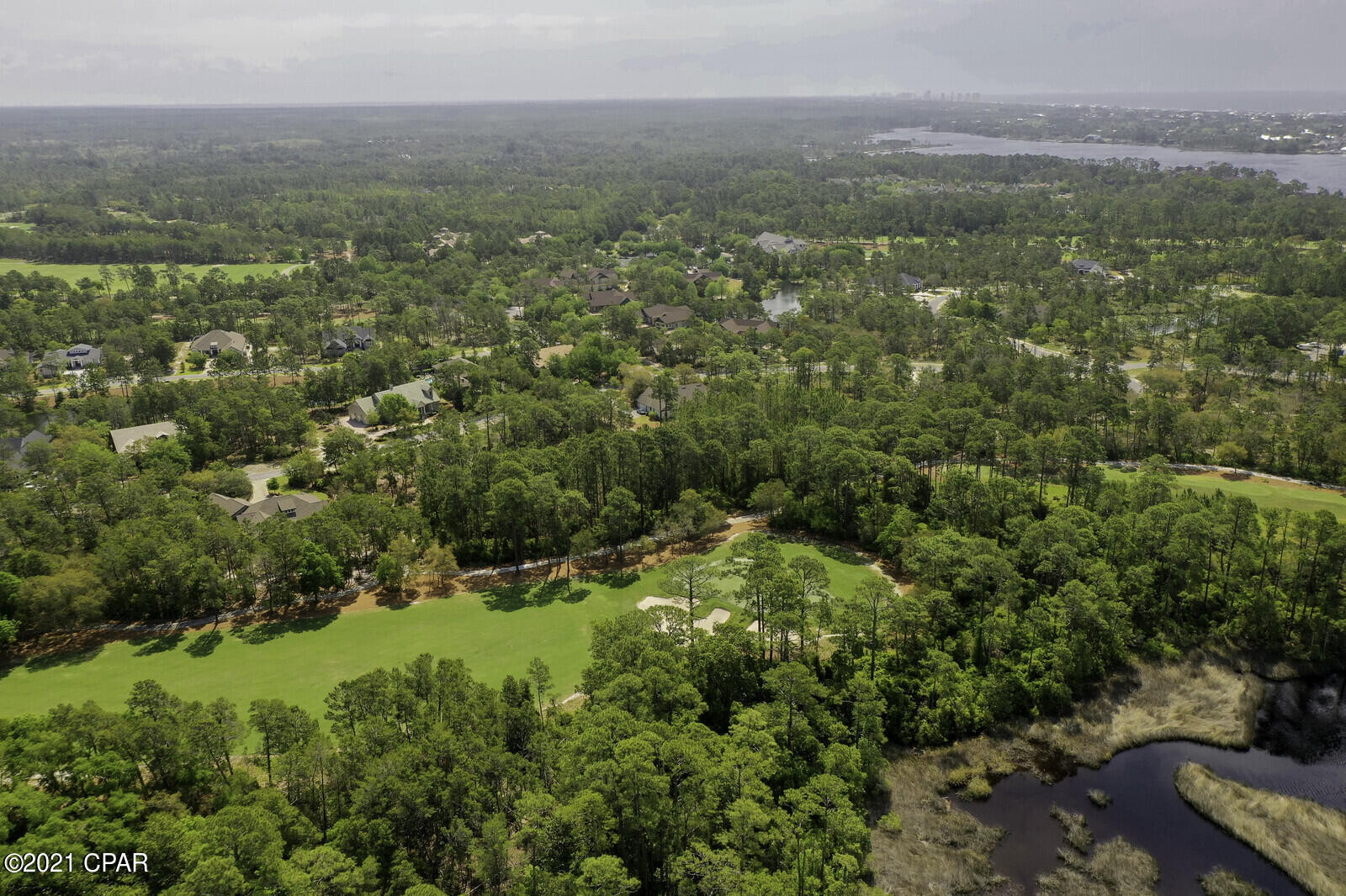 Wild Heron Phase XIII - Land