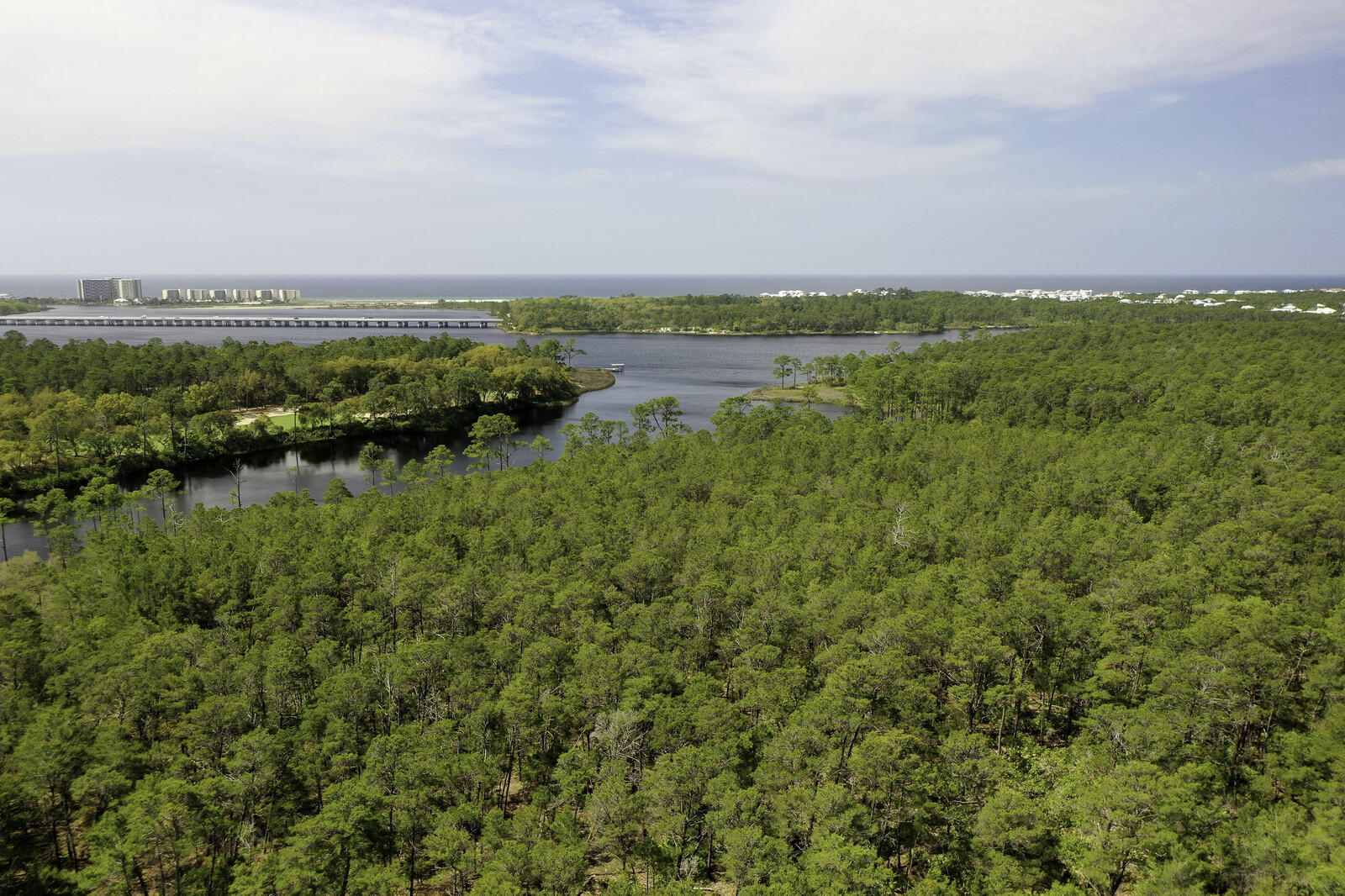 Wild Heron Phase XIII - Land