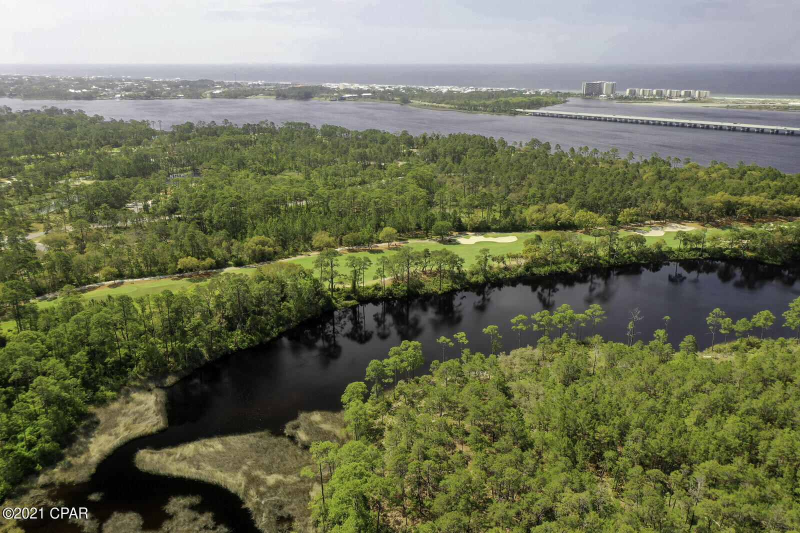 Wild Heron Phase XIII - Land