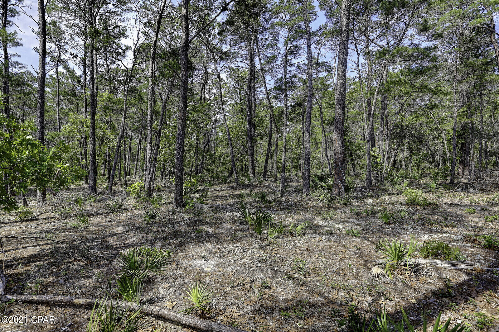 Wild Heron Phase XIII - Land