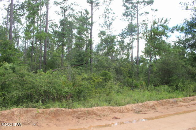 No Named Subdivision - Land