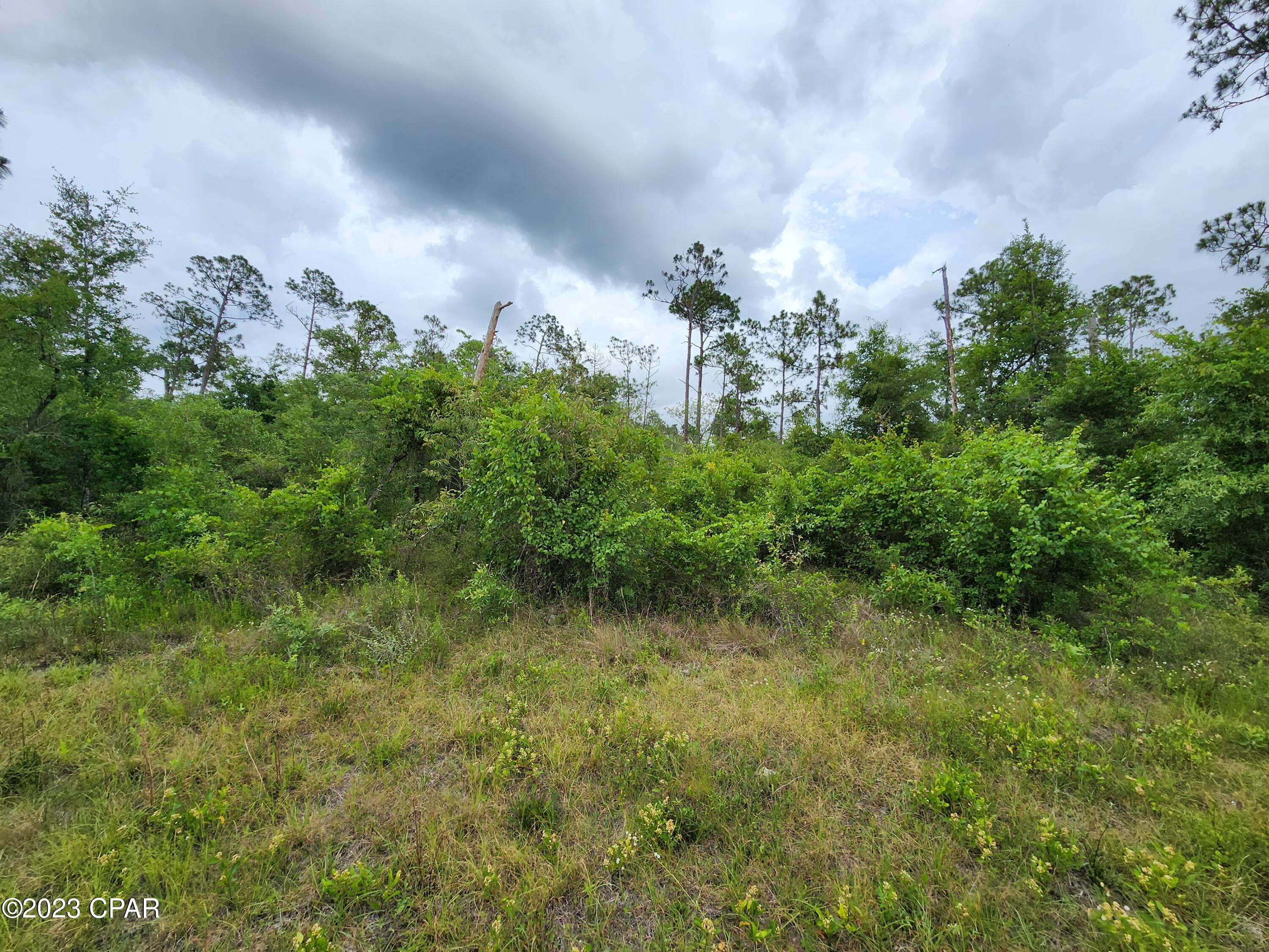 Compass Lake Hills Unit 5 - Land