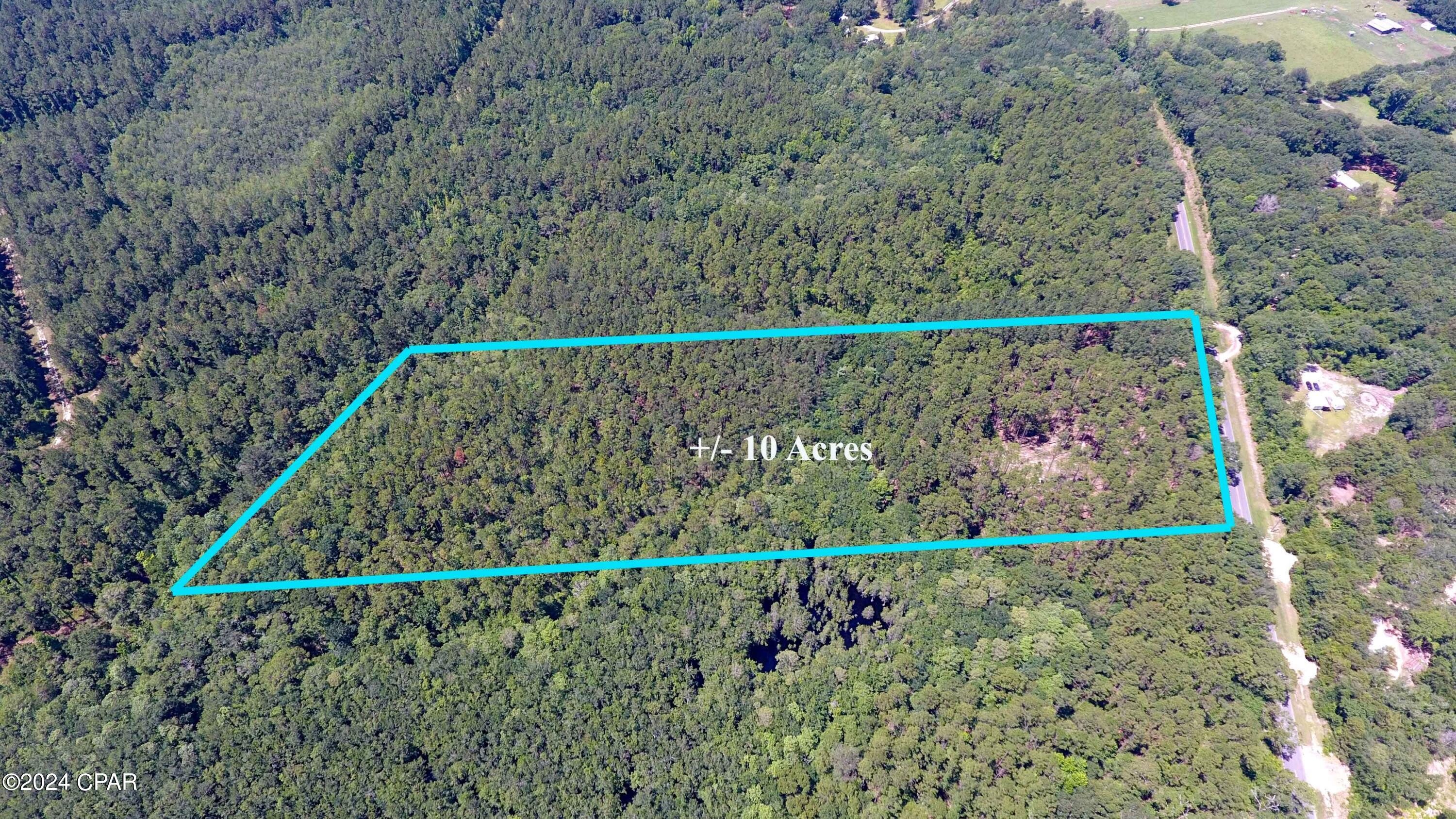 Canopy Crossing - Land