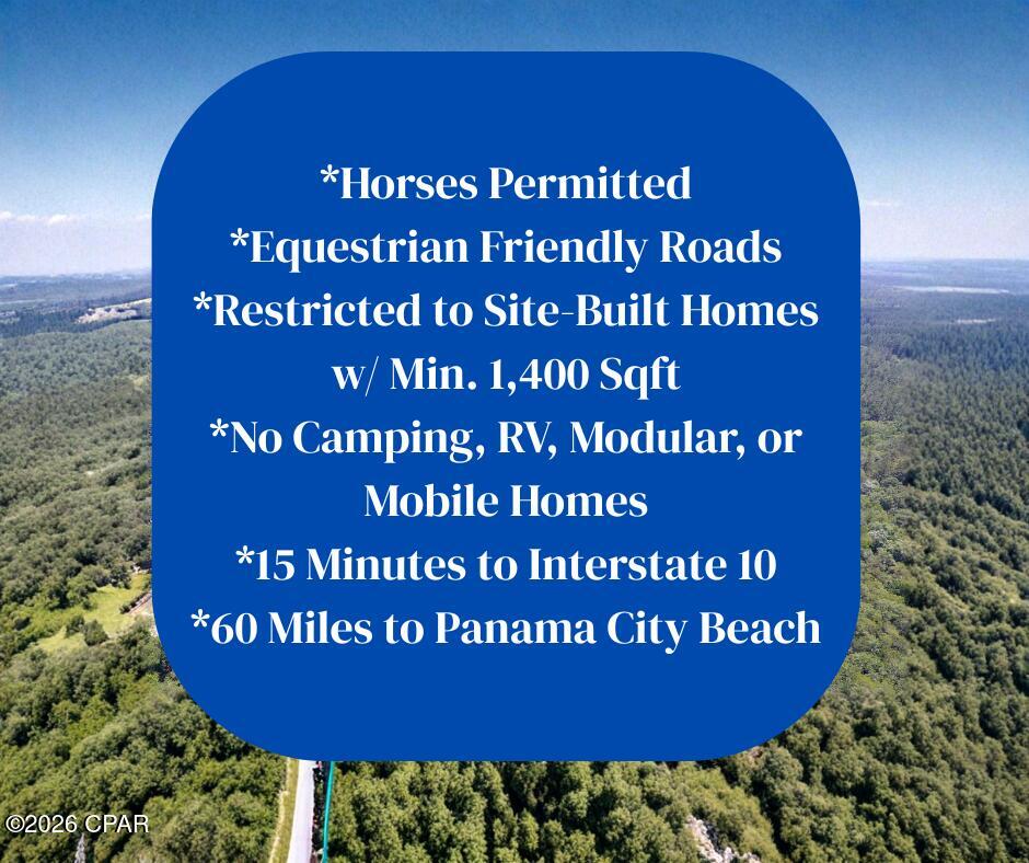 Canopy Crossing - Land