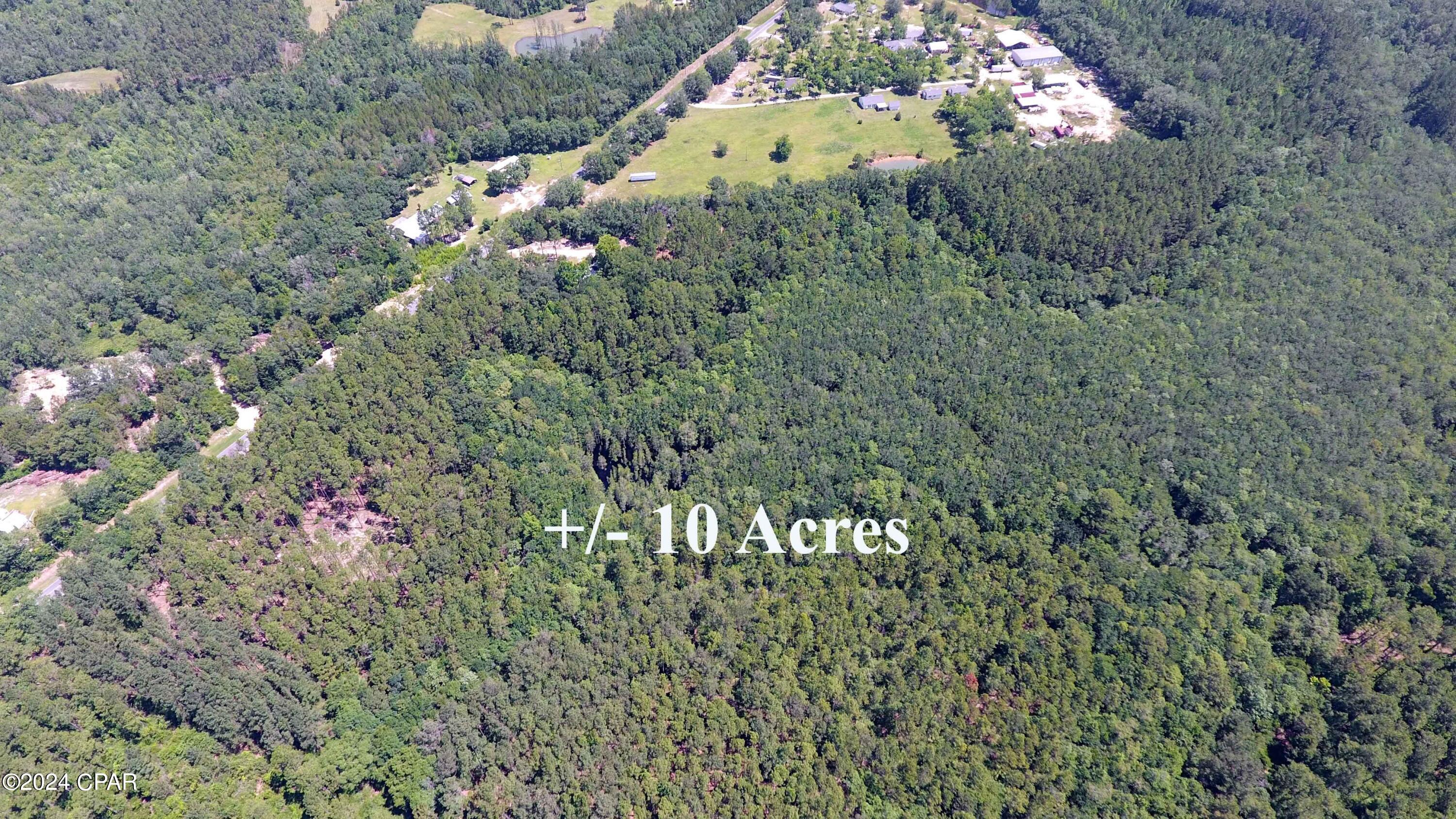 Canopy Crossing - Land