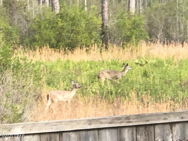 Wild Heron Phase I - Residential