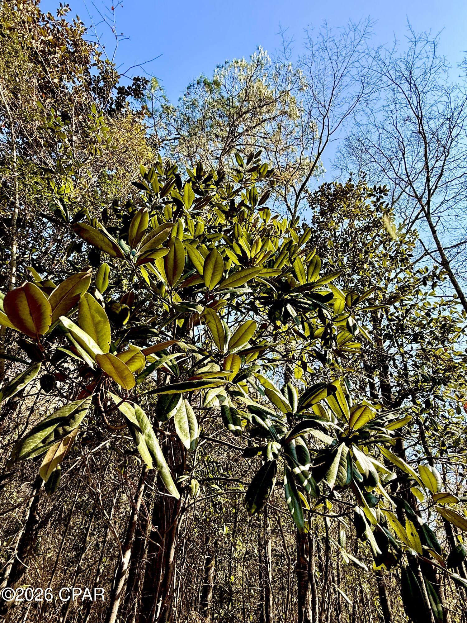 [No Recorded Subdiv] - Land