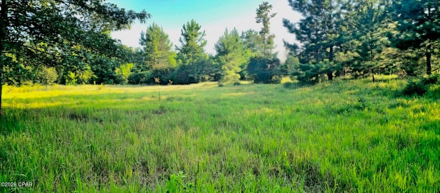 There's ordinary land, and then there's estate land. This is estate land. 33.2 acres of wooded privacy with mature live oaks, open clearings, and multiple homesite options, offering the feel of a private retreat with space to create something truly special. Frontage on County Road 177A with additional access from a southern easement provides both convenience and seclusion. Located just 4 miles from Bonifay, about an hour to Panama City Beach, 50 minutes to Northwest Florida Beaches International Airport, and 15 minutes to Tri-County Airport. Protective covenants help preserve the surrounding area, making this a rare opportunity for a private estate, homestead, or retreat. The property offers a natural mix of hardwoods and open areas, creating flexibility for a homesite, barn, or additional structures. Ideal for an equestrian setup, multi-generational living, or a private homestead, with room to spread out while still within easy reach of town and I-10. Wildlife is common throughout the property, adding to the quiet, private setting. Covenants and restrictions help protect surrounding parcels and long-term value.