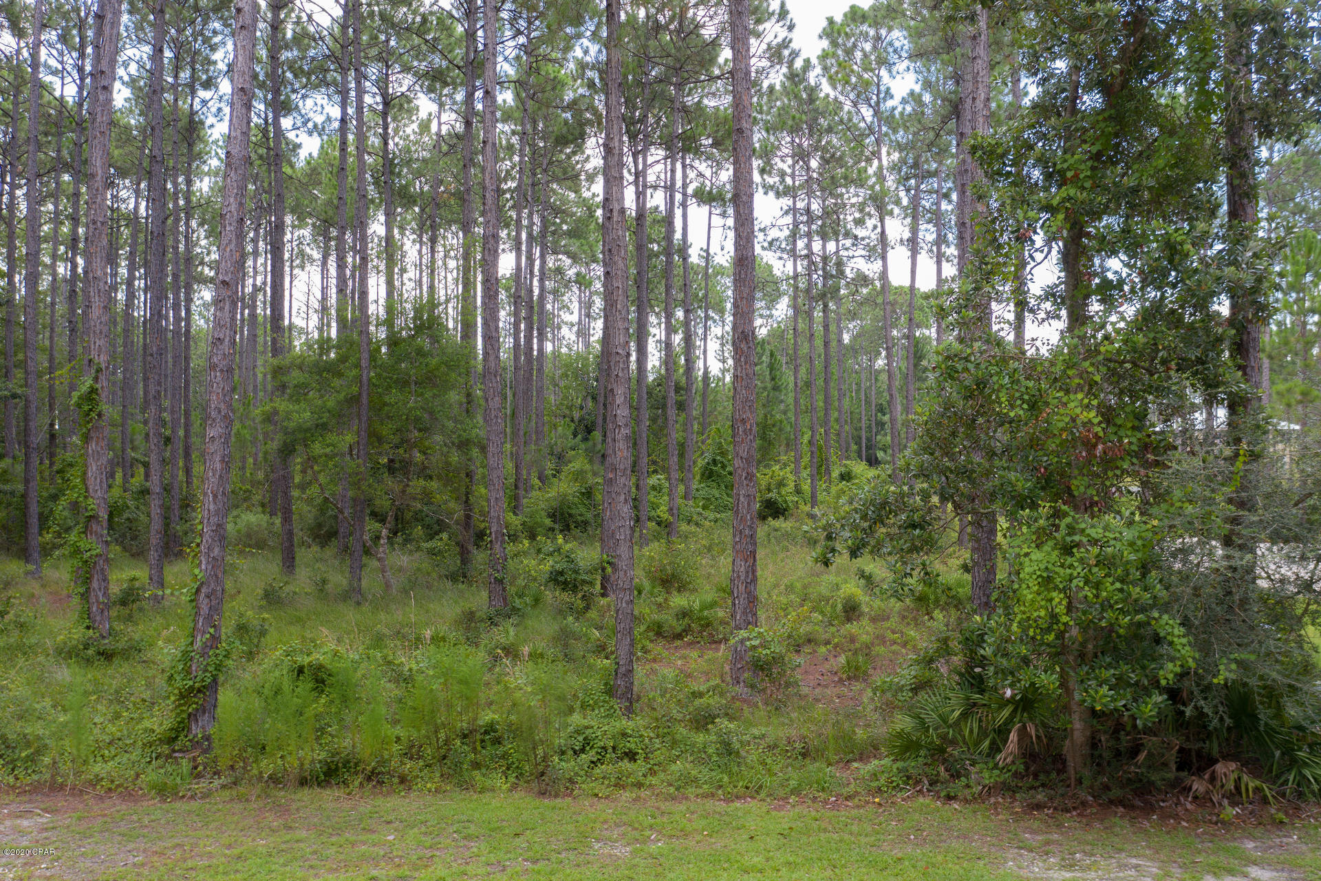 Rivercamps On Crooked Creek - Land