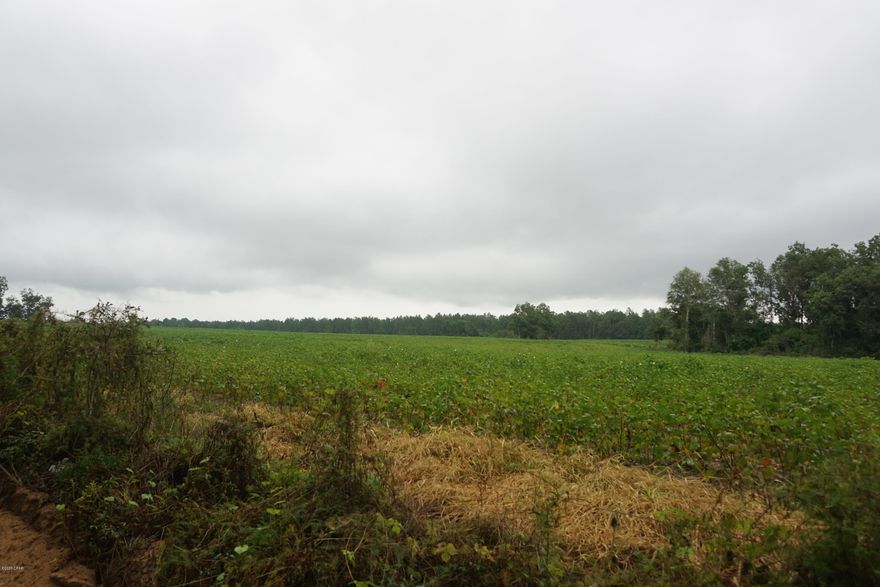 Large parcel of land that is currently used as farmland, approximately 78 acres. This property would be ideal to start a farm or for a farmer to add to their cropland, or could be the site for your future home. The property is currently leased out as cropland and the current lease would need to be honored until the crops are removed.   There is a well and power on the land and a dug pond.  The property is just north of Chipley, FL, close to I-10 and Hwy 231.