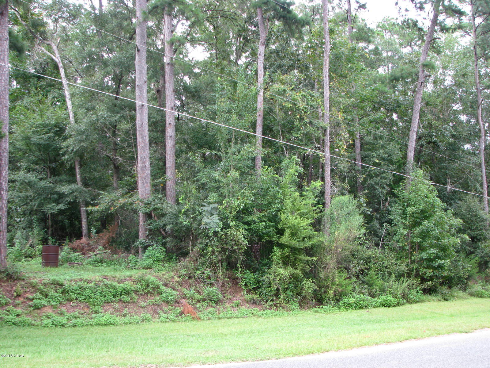 Dogwood Heights - Land