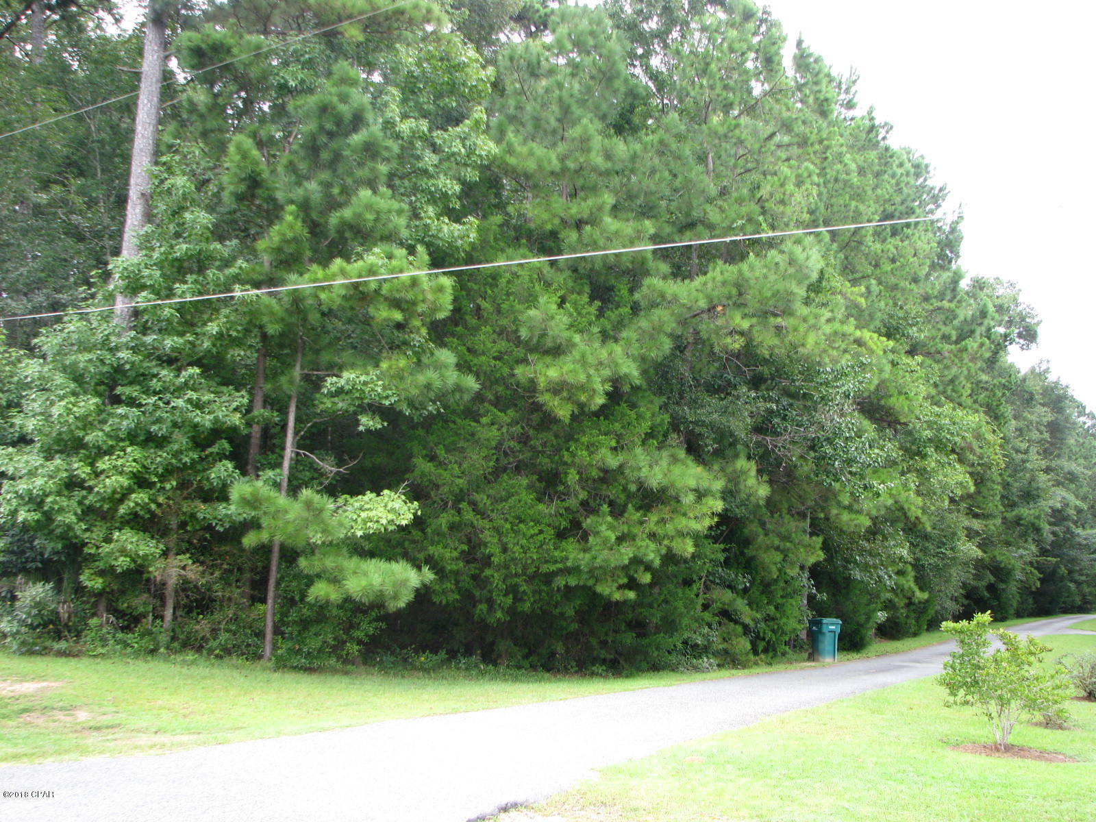 Dogwood Heights - Land