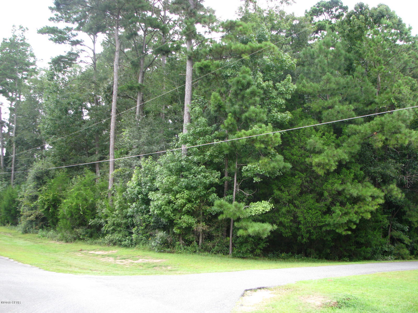 Dogwood Heights - Land