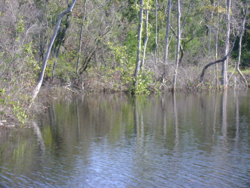 REDUCED!!!! BIG TIME DEAL!!!!!SELLER MUST SALE QUICKLY!!!!All sizes are apx taken from tax records and survey////GREAT GET-A-Way--108 acres with your own spring fed pond with 10 lb bass--bream--catfish---loads of deer---planted dove field---with pole barn!!  Cabin was built in 2005 3/1 bath--laundry room---huge family room---tool room--screened porch--large front porch and back porch--outside cook shak and deer cooler (Hang deer) --Could easliy be your new home or just a resting place for the WEARY!!!  Loads of potential if you need pasture land and raise cattle or horses!!!!