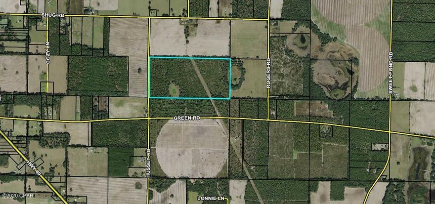 Nice wooded parcel with over 1,300 ft of road frontage. 

With some planted pines, some natural woods and a pond, this would make a wonderful recreational tract or beautiful home-site.  It is located in a lovely country setting surrounded by farmland.  There is a power line easement on the property.  Don't miss the opportunity to own this property!