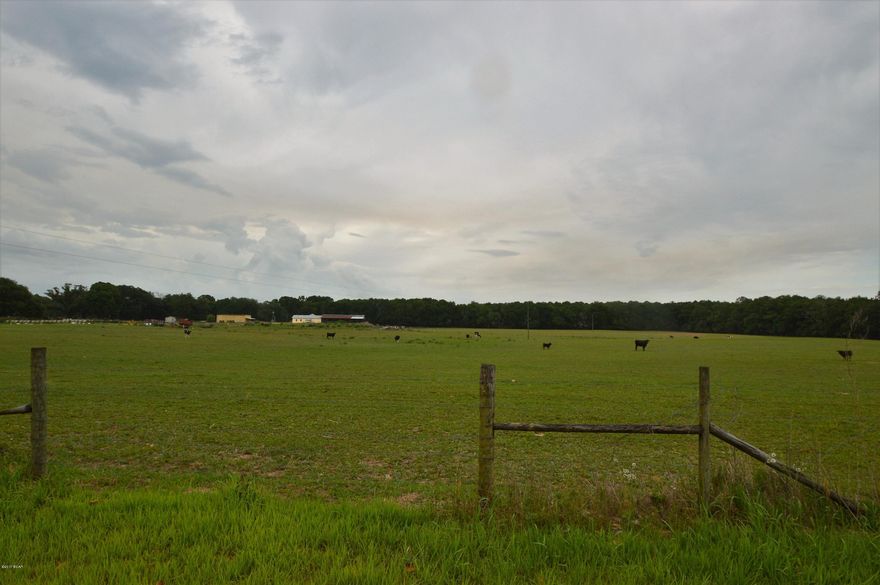 19 acres on Paved Road... lots of road frontage currently cleared and used for cows. Would make great crop land or build your dream home.