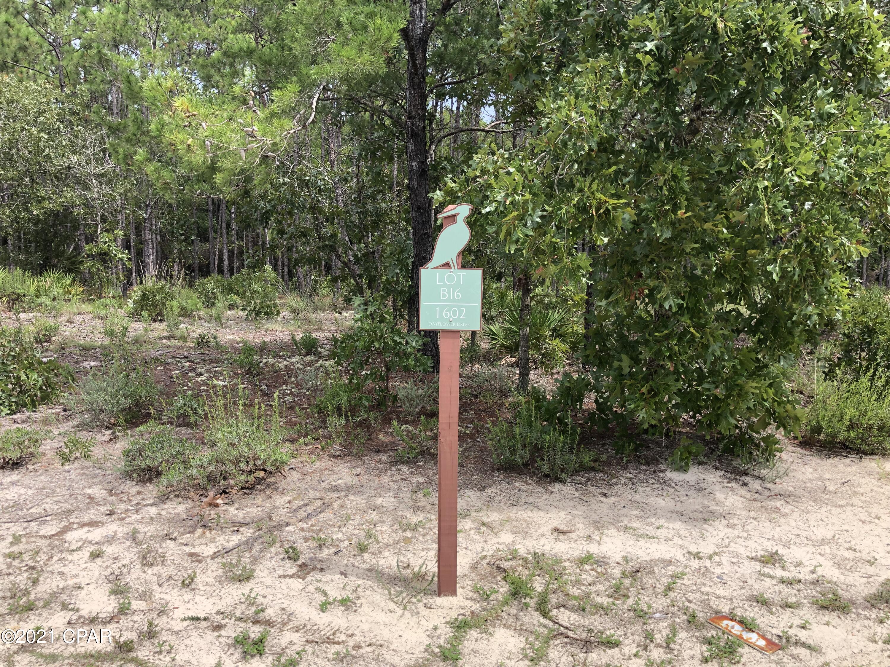 Wild Heron Phase I - Land