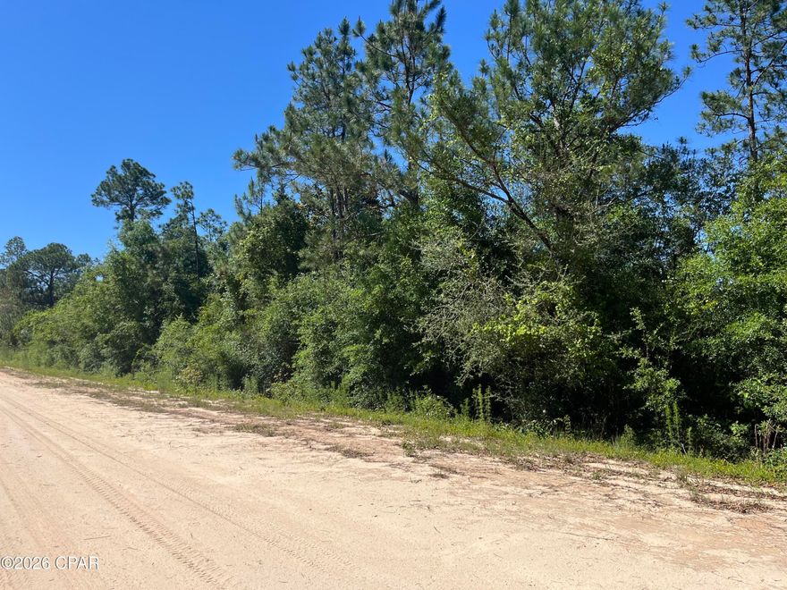 This 1+/- acre untouched lot offers the opportunity for secluded rural living. Clear it and build your dream home or use it as your private getaway.