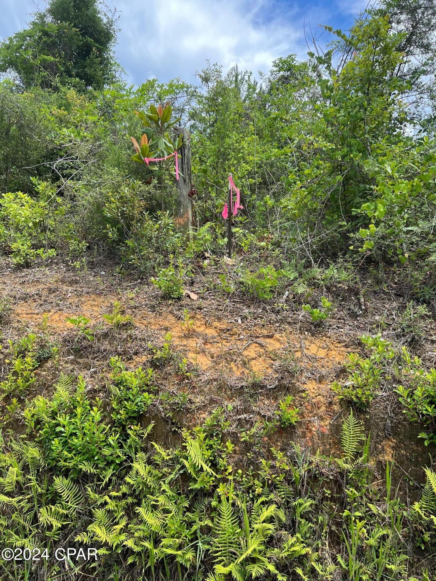 No Named Subdivision - Land