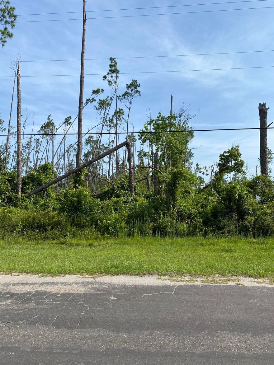 Nice 1.03 lot on a semi-paved/dirt road.