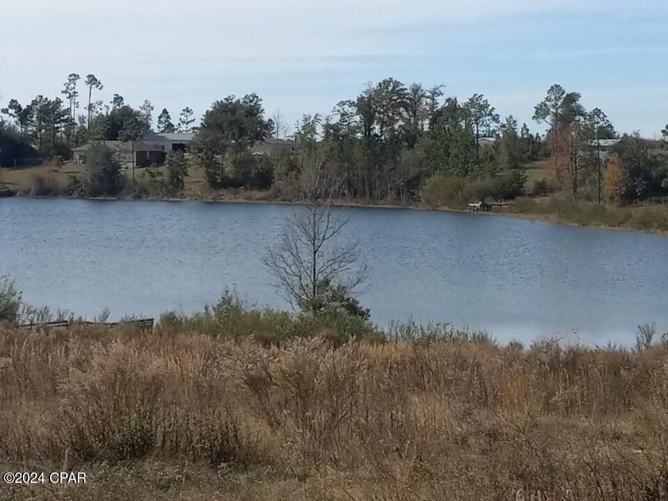 White Pond Plantation - Land