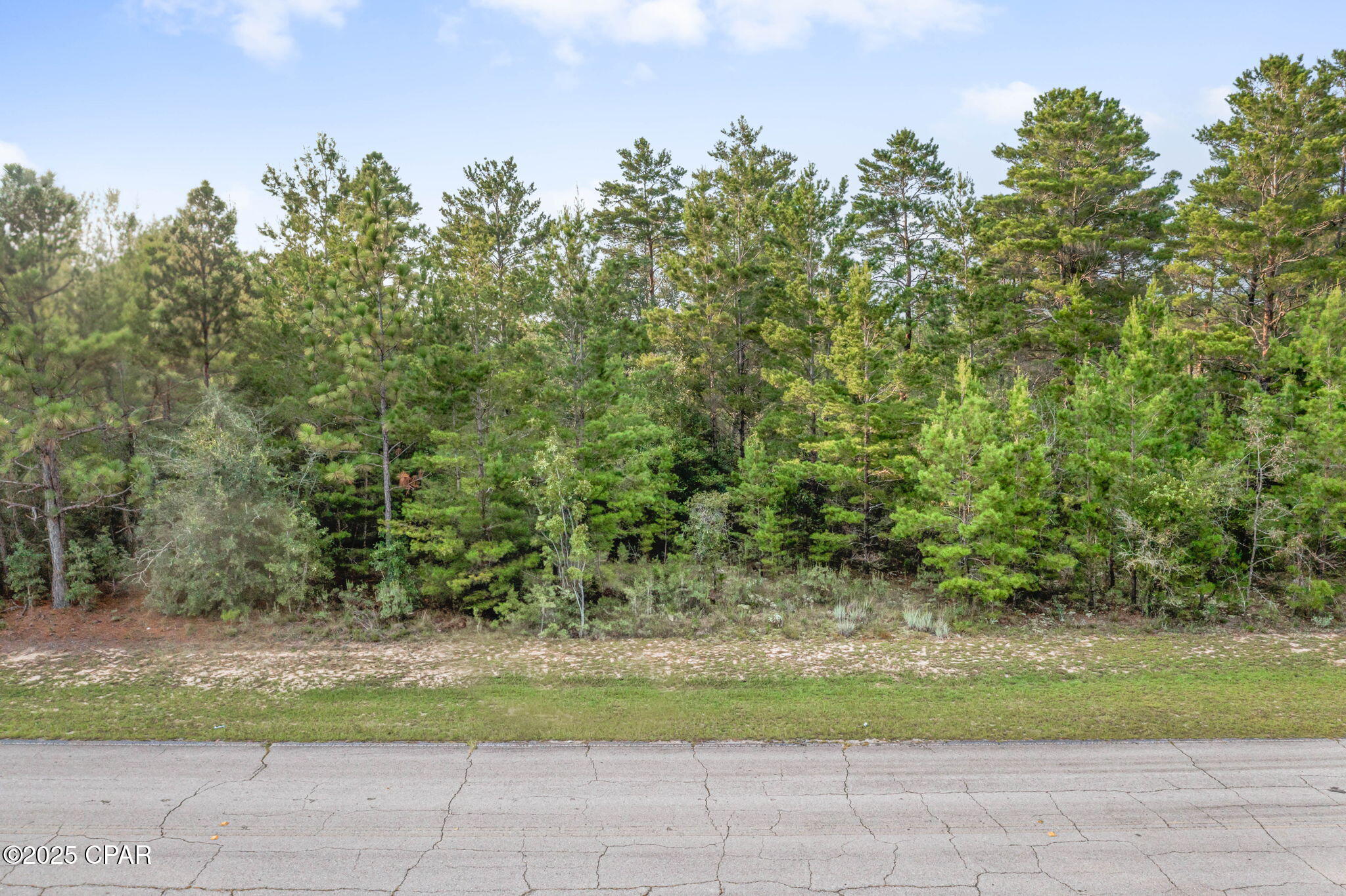 Sunny Hills Unit 1 - Land