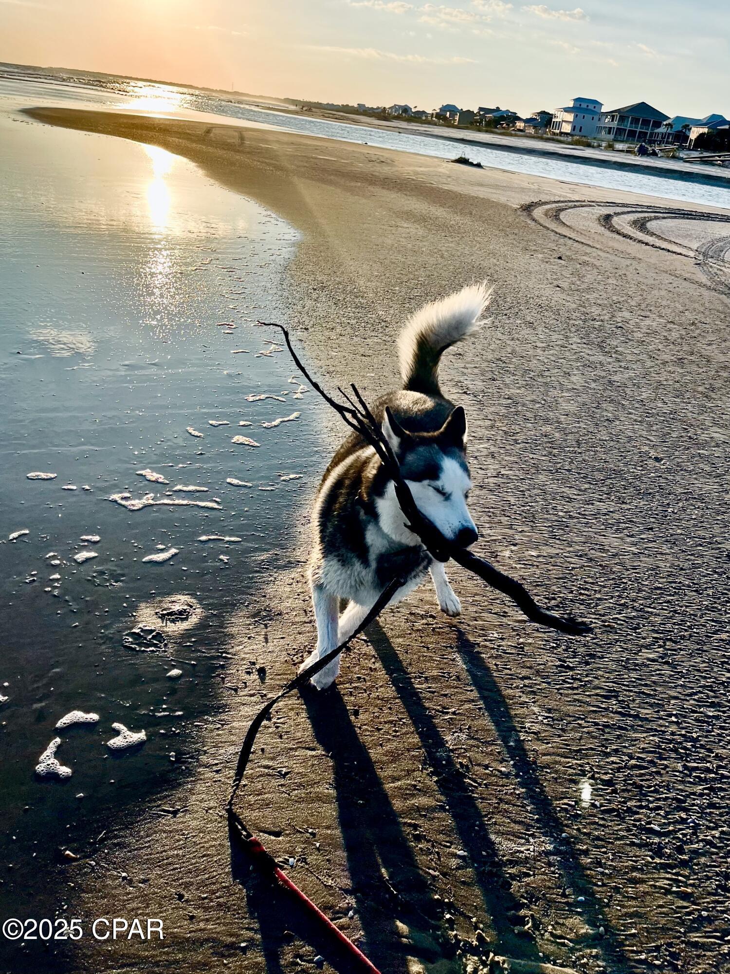 Sweetwater Shores - Land