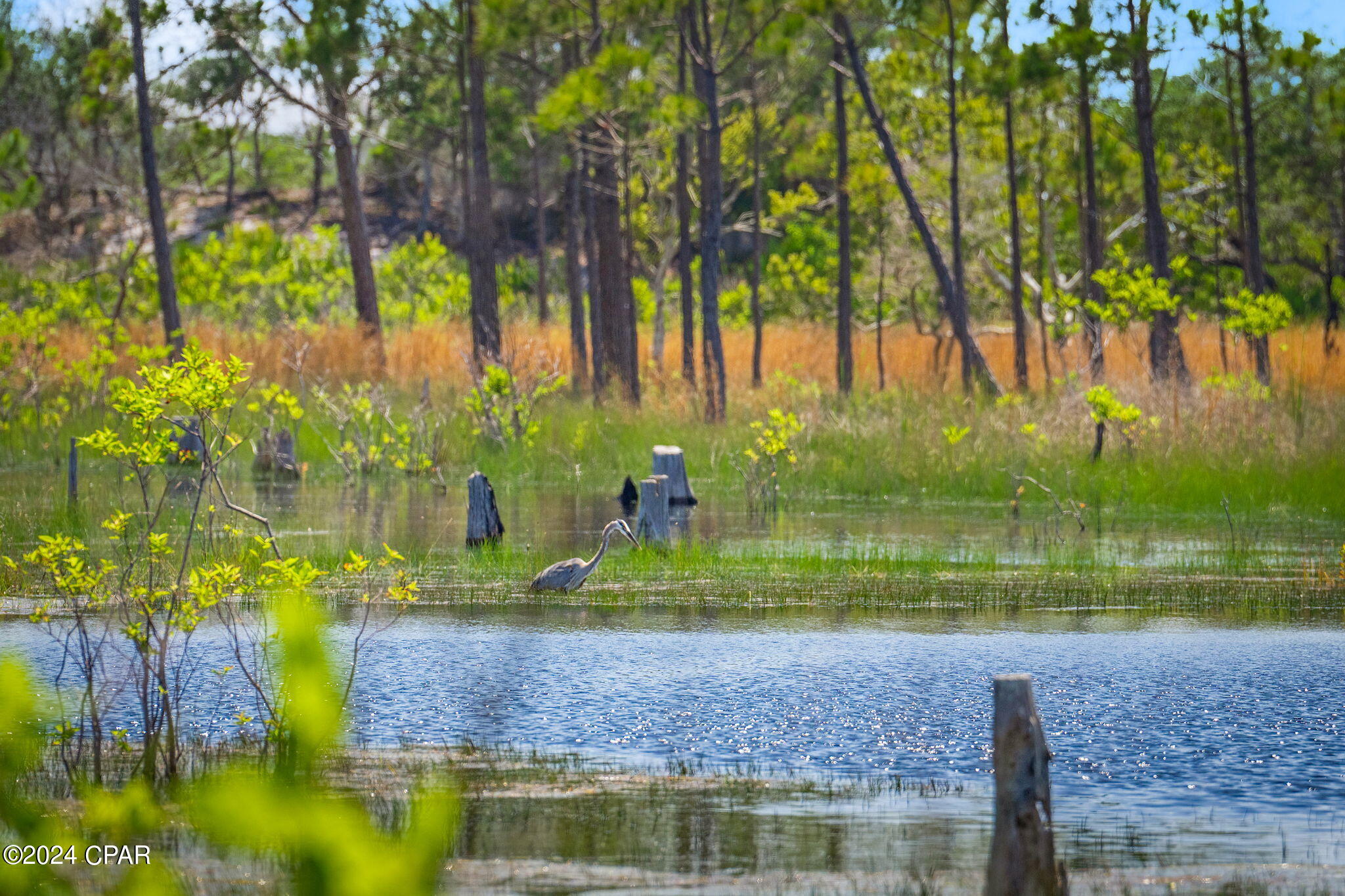Ocean Ritz - Residential