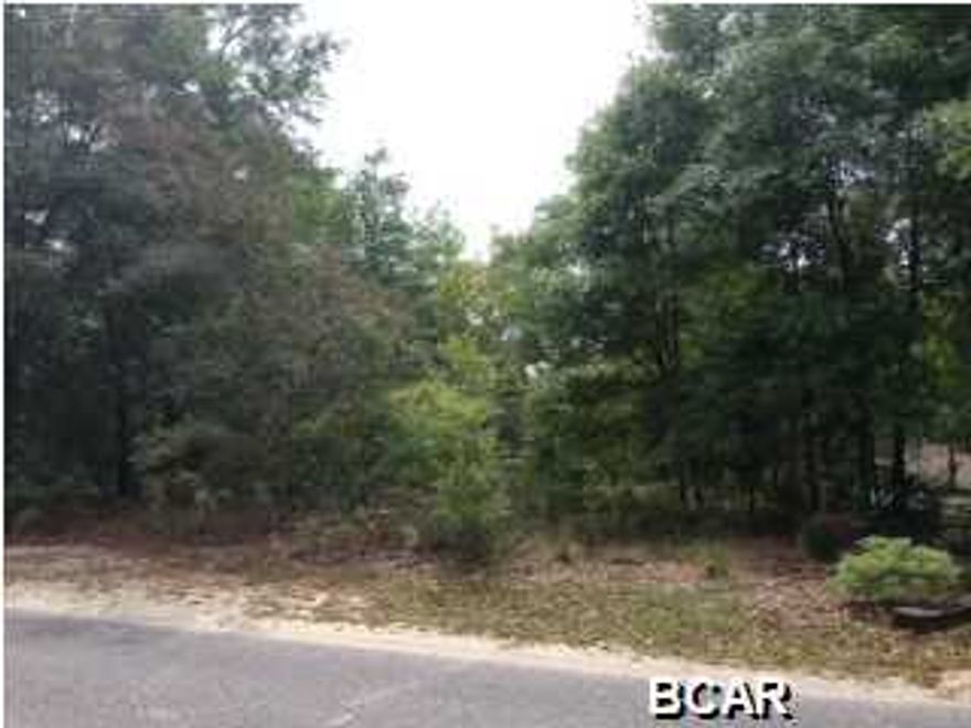 This waterfront lot in the gated community of Lesiure Lakes could make the perfect homesite for your dream getaway, or to enjoy lake living. It has a gentle slope down to the clear water of the main lake, about a half-mile to the recreation area that includes a swimming pool, pavilion, playground, basketball court, tennis court, boat launch, and more. Security personnel are on duty Monday through Friday 8 a.m. to 4 p.m. In addition, there is a second lake that also offers good fishing.