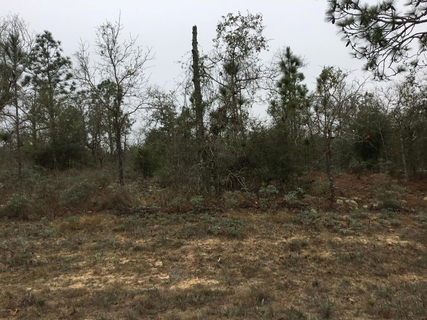 Nice building lot in South Washington County.Looking for a quite place out to its self and only 25 miles to the Worlds Most Beauitful Beaches. Come and build your new home and enjoy the peace and quite