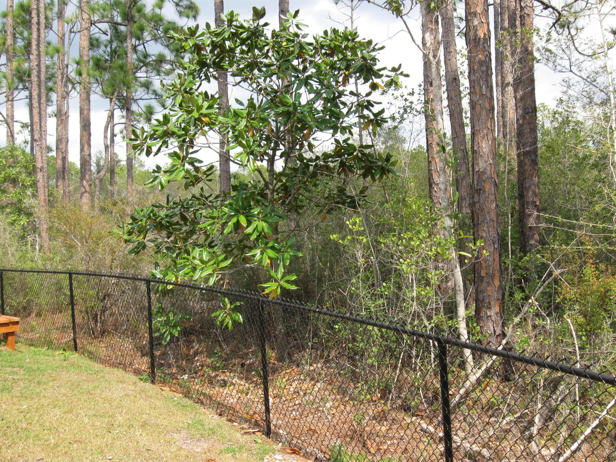 Peach Creek Ph I - Residential