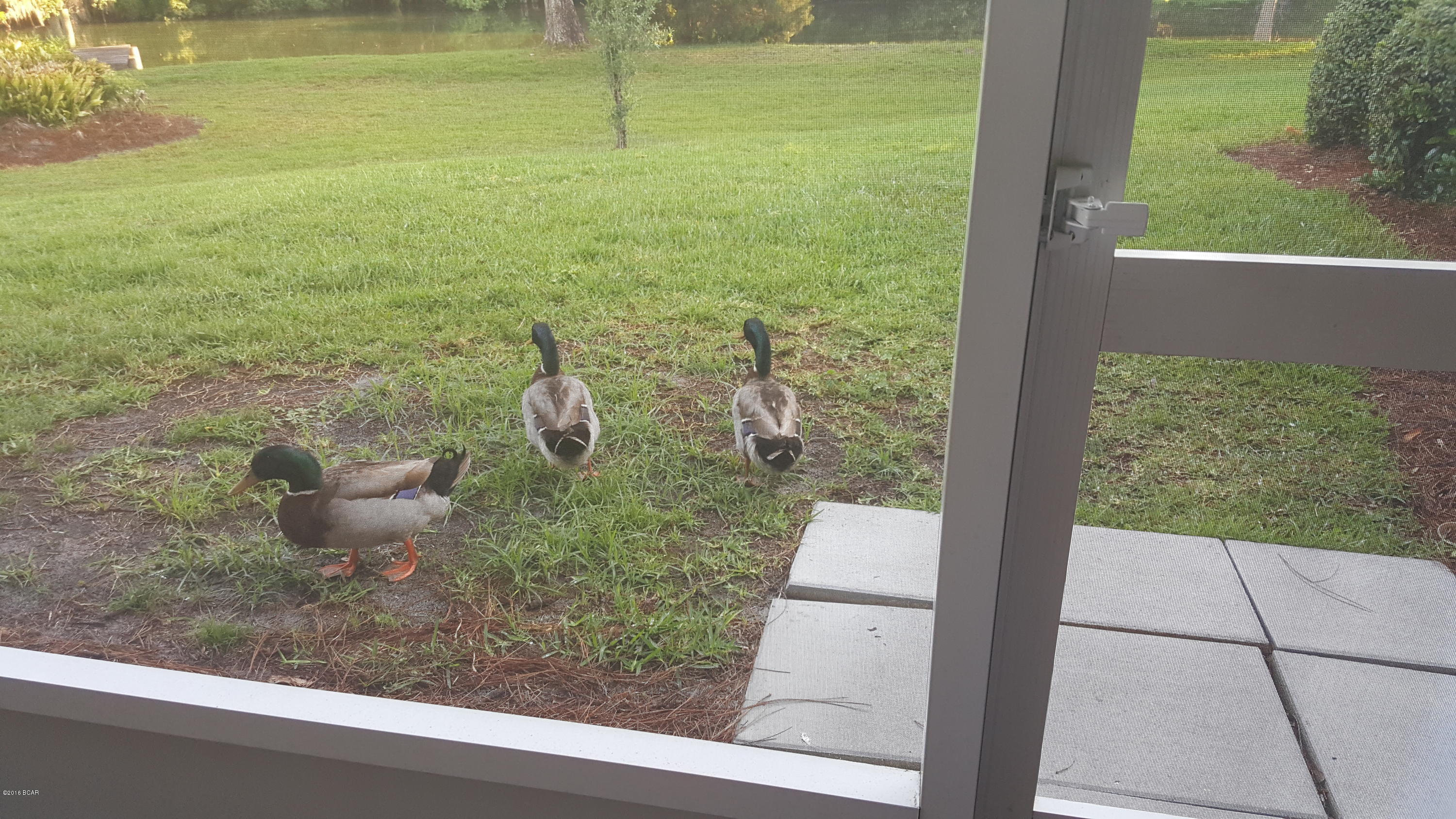 Oaks Plantation - Residential