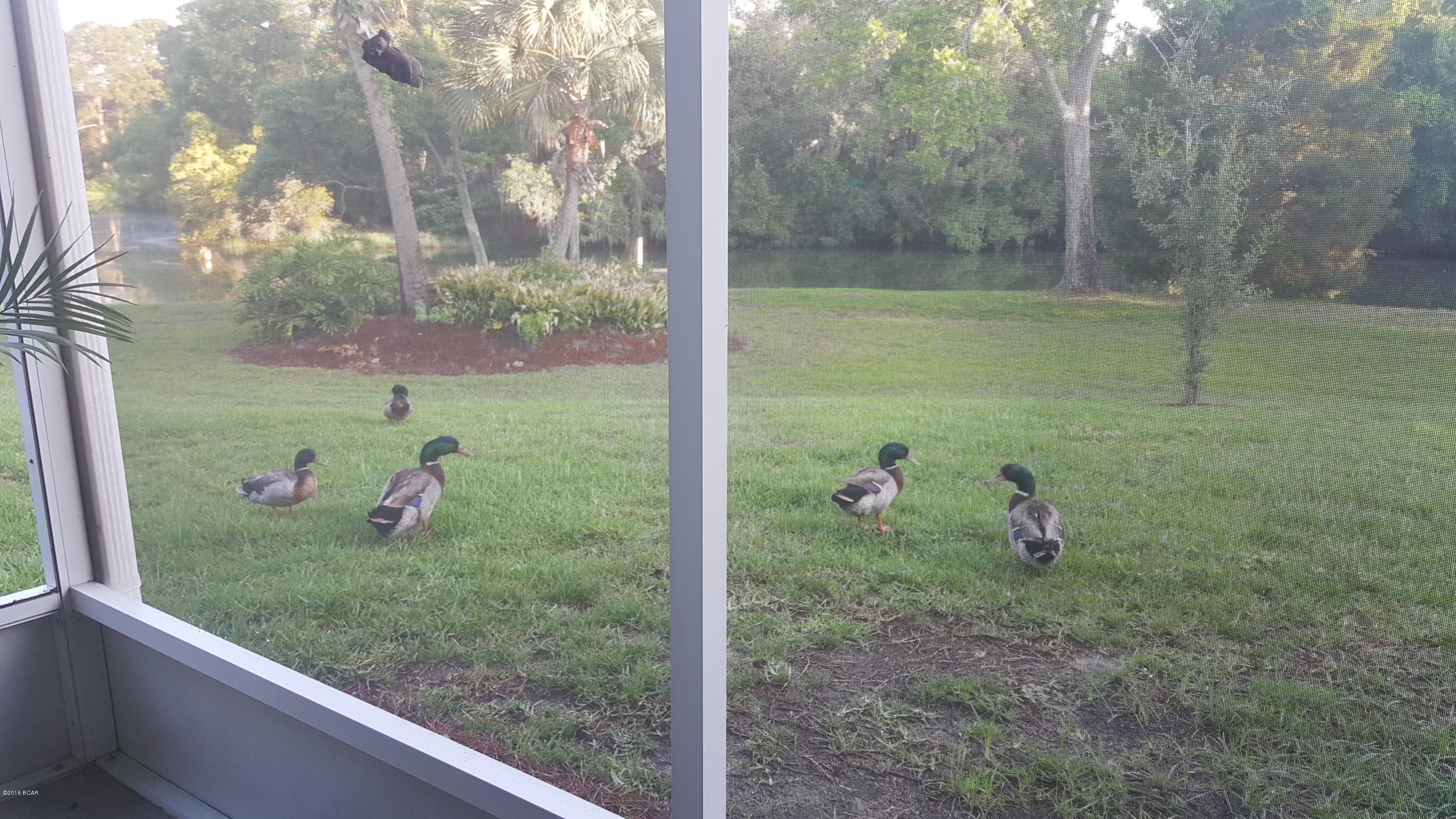 Oaks Plantation - Residential