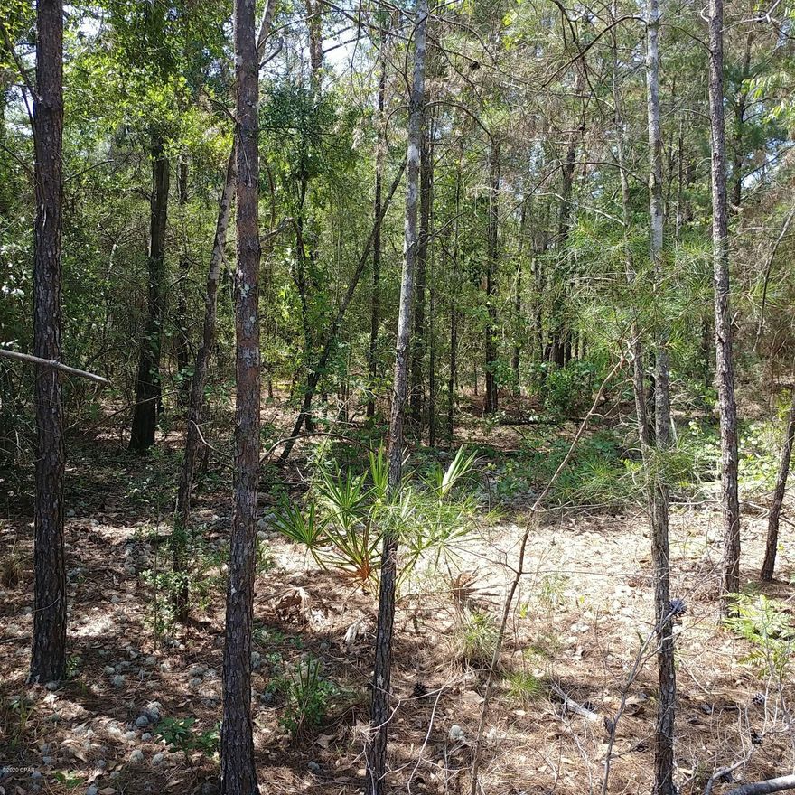 Lightly wooded lot on a newly-paved road in growing Mossy Head community of DeFuniak Springs.  Perfect spot  to build your new home or you could put a mobile home here. No utilities currently on the property but power is on the street.  Public water is available with paid tap fee.  Septic tank will be required.  Property is located minutes from Blackstone Golf Course and Interstate-10.  DeFuniak Springs and Crestview are approximately 15 minutes away and it is approximately 30 minutes to Niceville and Eglin Air Force Base.