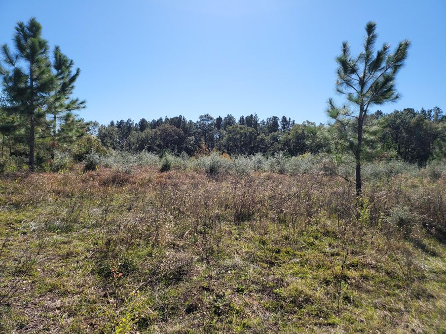 Great location with this 7 acre +/- acre parcel located on the corner of Douglas Ferry Rd and Pate Pond Rd. Property is zoned general commercial.  Lots of potential and visibility.