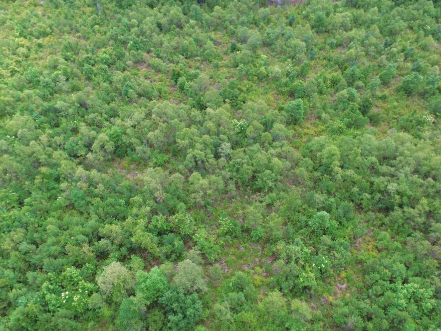 Here is your chance to own almost 14 acres with a creek running along the Eastern boundary. In town and yet private at the same time. Would make a beautiful home site. Won't last long at this price....come on and make this your own personal paradise now. County water available to property.