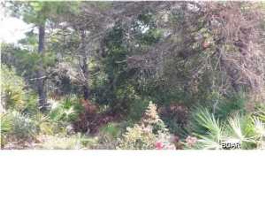Location! Location! Location! This residential building lot is located on the popular ''West End'' of Panama City Beach. It sits in Riviera Beach walking distance to Public Beach Access #87. The lot is nicely wooded and on a paved road. The neighborhood is golf cart friendly and you'll see your neighbors walking their dogs or just going for a sunset stroll to the beach. This property is a mile or so to ''The Carousel'' grocery, liquors and gift shop plus minutes to Winn Dixie, Publix, CVS, fast food restaurants and minutes from Pier Park that now has our famous Miracle Strip Amusement Park...... and steps to the beautiful white beach at the Gulf of Mexico.