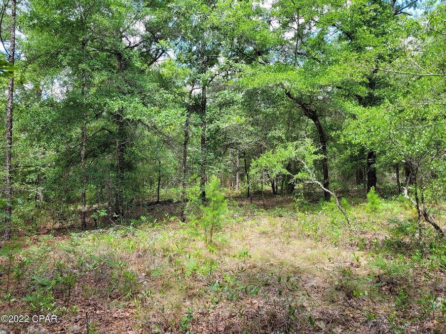 Total of 1.577 acres with no HOA fees. Mobile homes are allowed. Very quiet location with no visible neighbors. There are no utilities on the property at this time and you will need a septic tank, well, and electrical. This sale includes Lot 3 (Parcel ID #15-3N-20-28070-028-0030 - 1.14 Acres) and Lot 4 (Parcel ID #15-3N-20-28070-028-0040 - 0.437 Acre) South Sesame Drive, DeFuniak Springs, Florida.