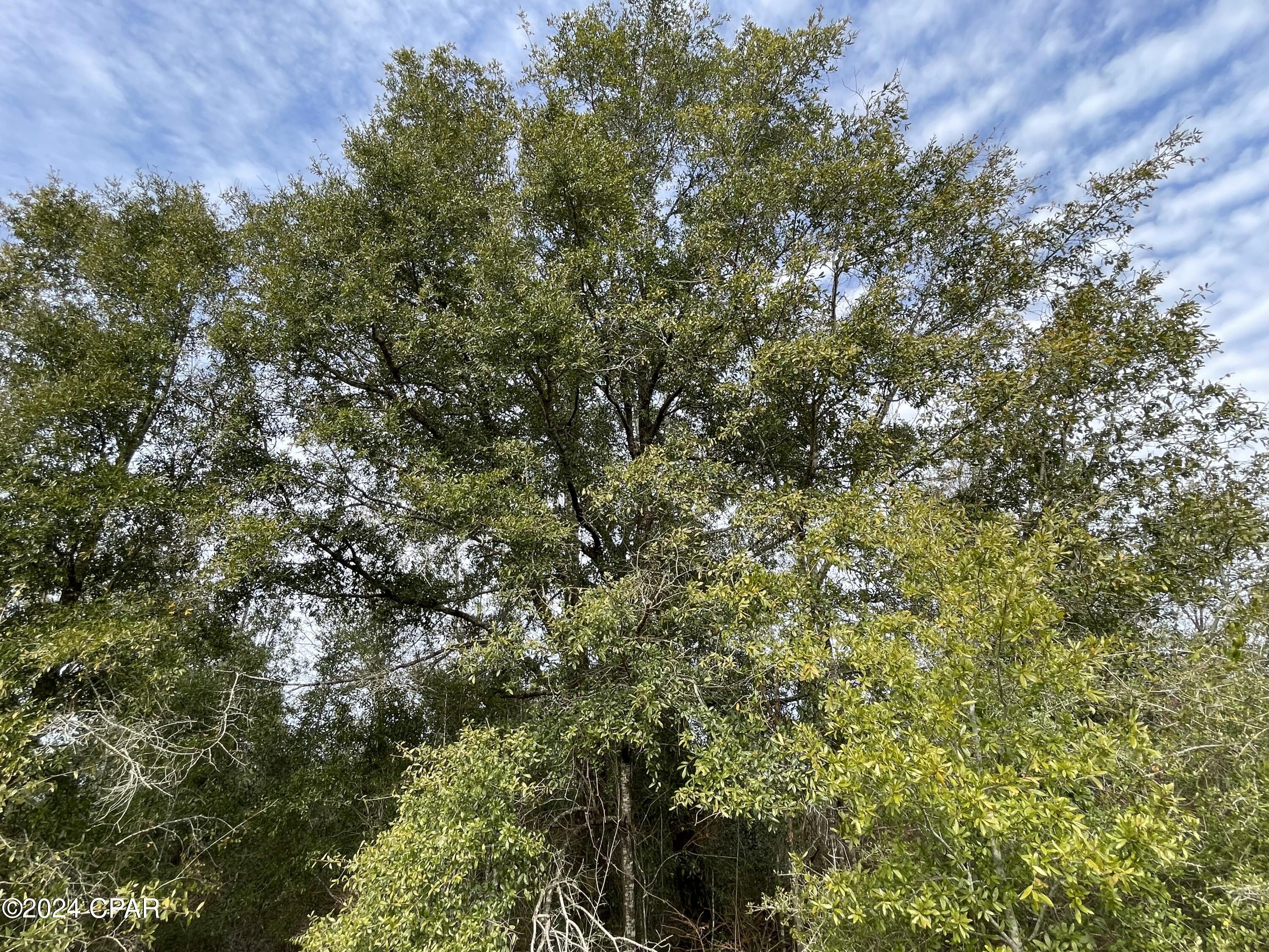 [No Recorded Subdiv] - Land