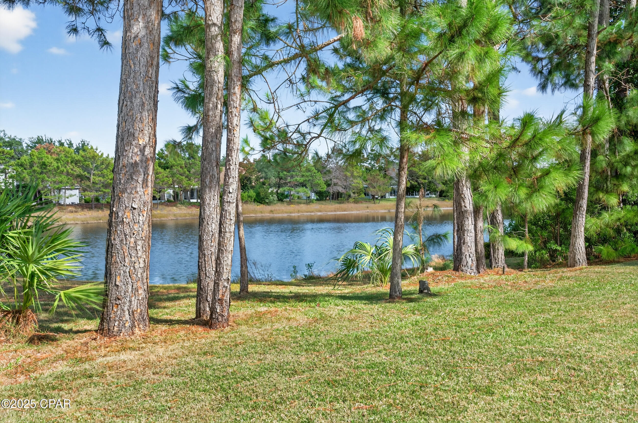 Palmetto Trace - Residential