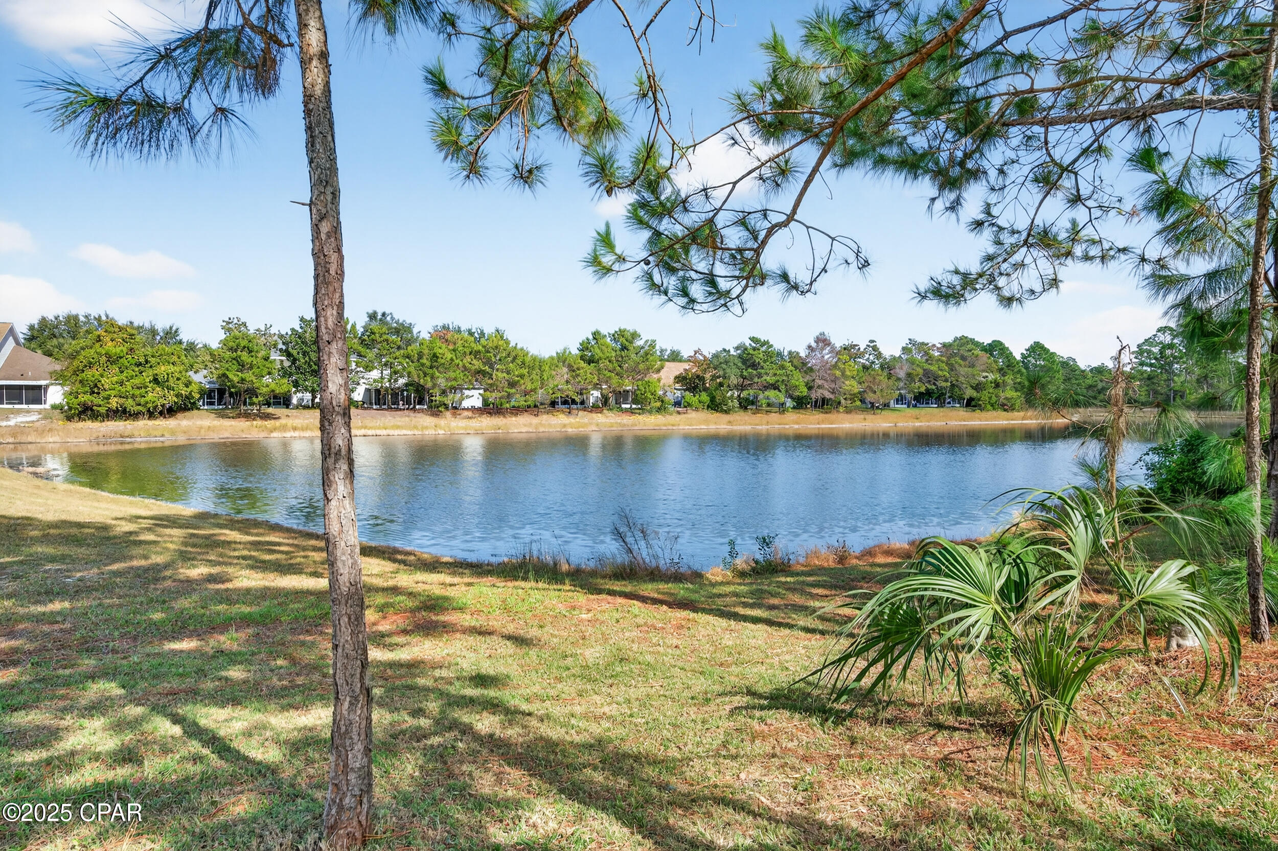 Palmetto Trace - Residential